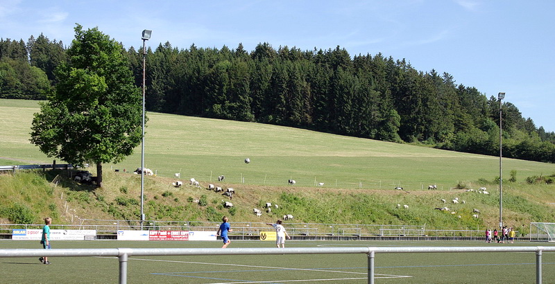 Arbeitseinsatz ganz anderer Art