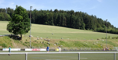 Arbeitseinsatz ganz anderer Art